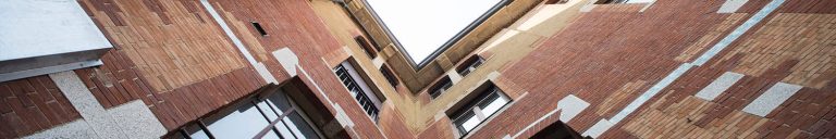 ISMU is Fondazione ISMU